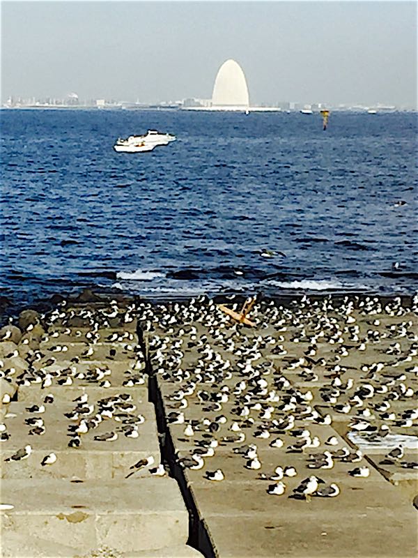 rblog-20151005082734-00.jpg