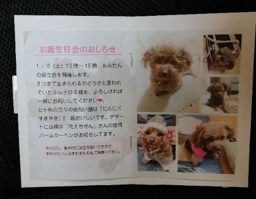 rblog-20190101153230-00.jpg