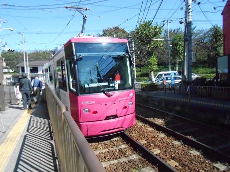 DSCN5282.jpg