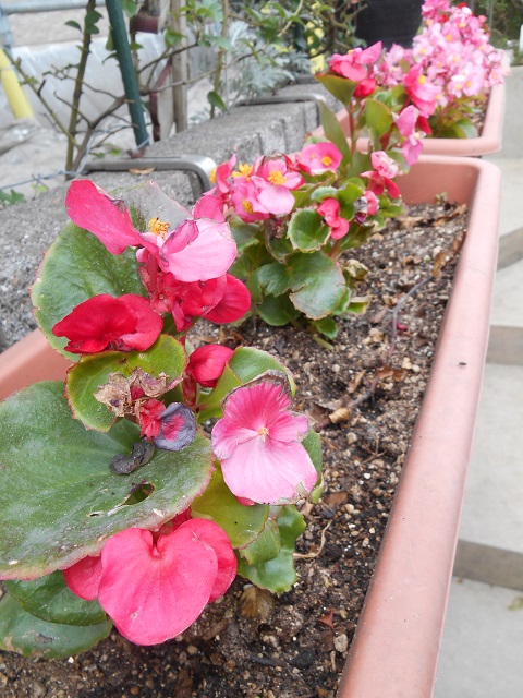 DSCN0544.JPG