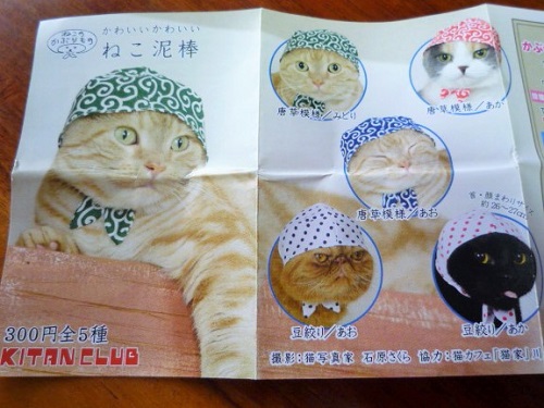 P1300893 (2).JPG