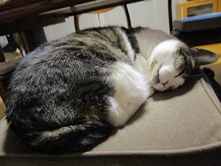 IMG_3649ss.jpg