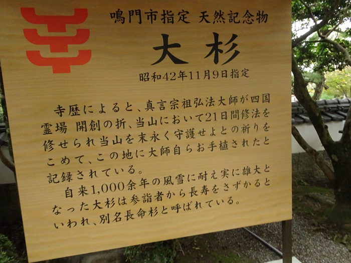 DSC01849_R.JPG