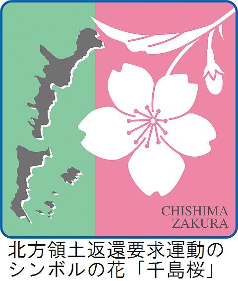 千島桜