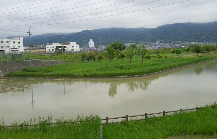 大きな川沿いの緑地公園 AWorld2 楽天ブログ