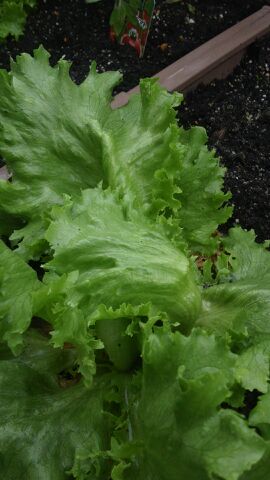 rblog-20140428115537-01.jpg