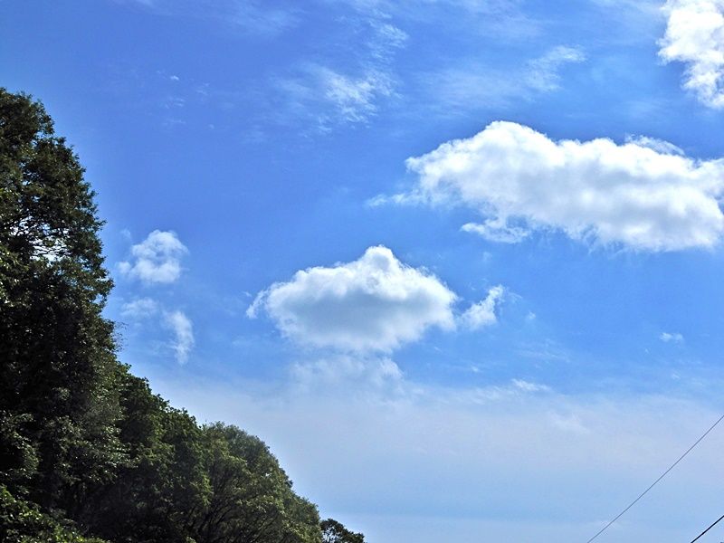 空2
