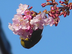 conv0669.JPG