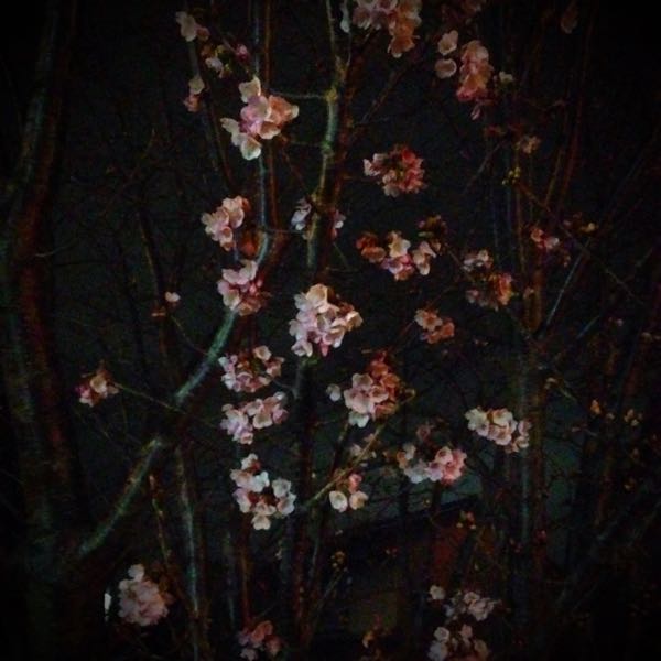 rblog-20180305231407-01.jpg