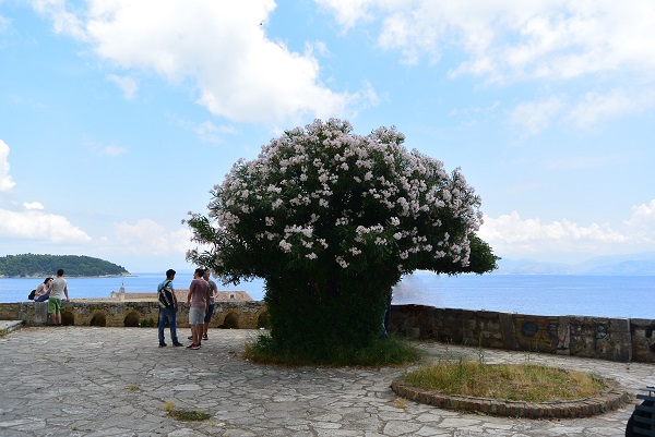 コルフ島