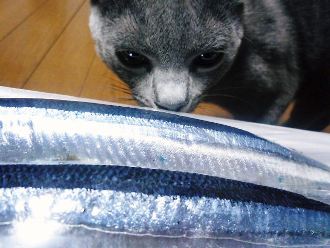 2013年04月01日_P1110360.jpg