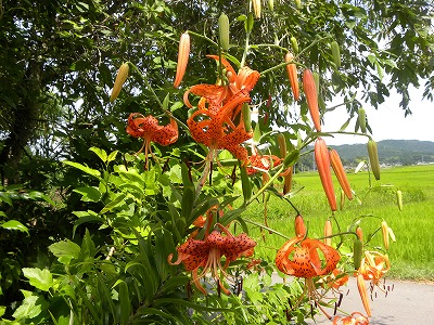 DSCN9649.jpg