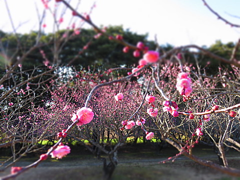 IMG_8219.jpg