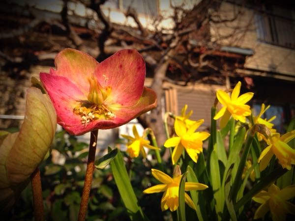 rblog-20141231140827-03.jpg