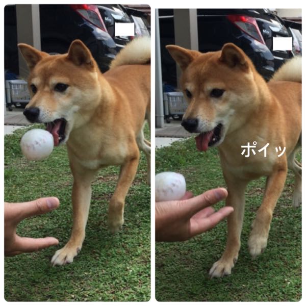 rblog-20170821110658-05.jpg