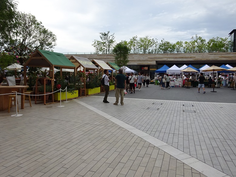 DSC08103.JPG