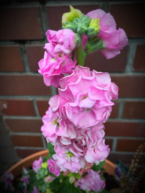 rblog-20151029145335-01.jpg