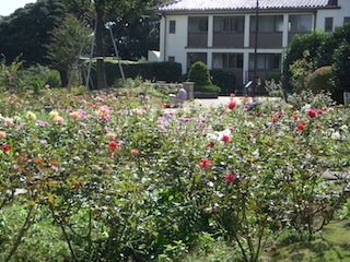DSCN1616.JPG