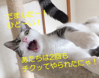 20121006_2.jpg