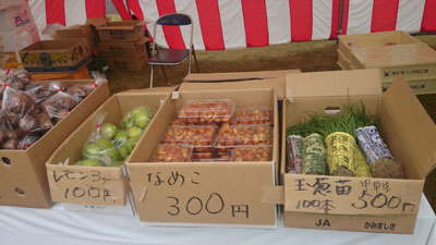 8880.jpg