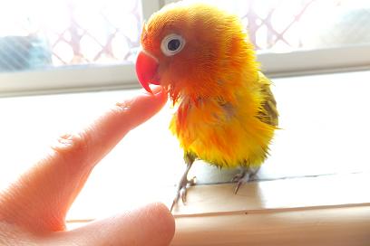 DSCF3862.jpgmojo.jpg