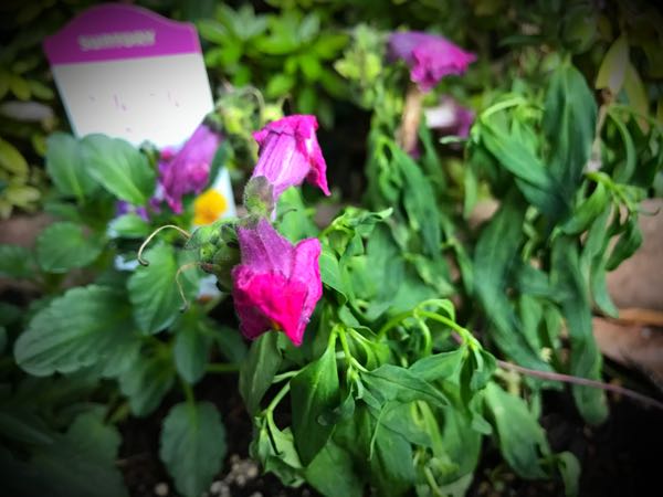 rblog-20161128165327-03.jpg