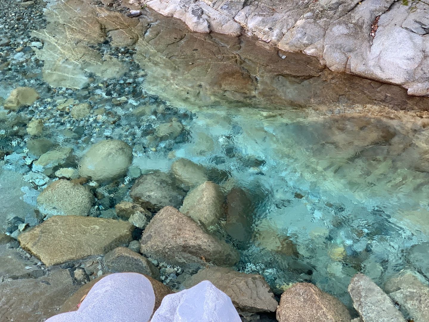 目から鱗 関東にこんなに綺麗な川が ウェルキャンプ西丹沢 Jimi Camp 地味キャン 楽天ブログ