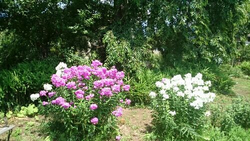 rblog-20170720084209-02.jpg