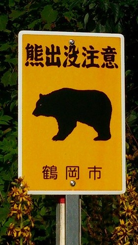 鶴岡市の熊注意.jpg