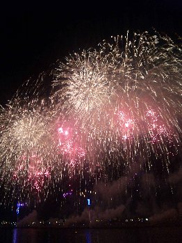 市川市民納涼花火大会