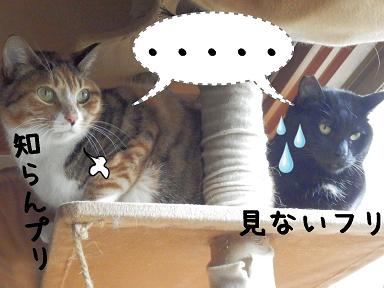 フリ.JPG