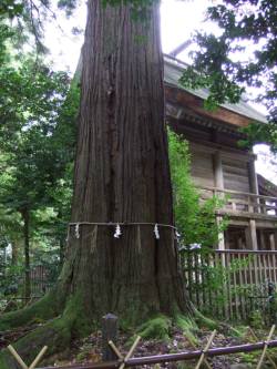 須佐神社