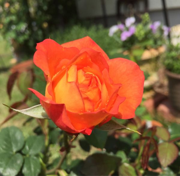rblog-20180502175649-05.jpg