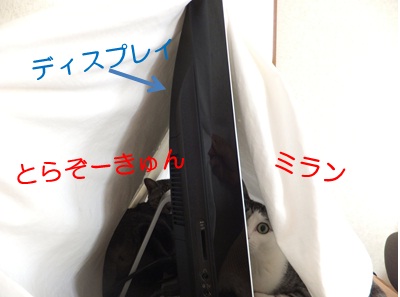 20120925_3.jpg