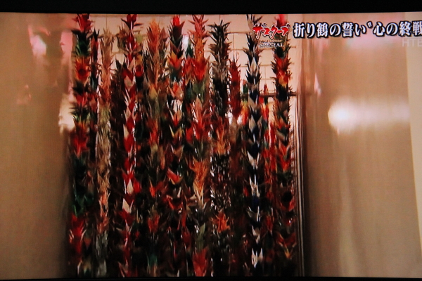 ダニエル2.JPG