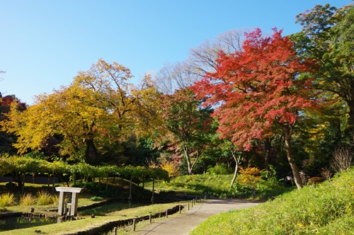 小石川後楽園