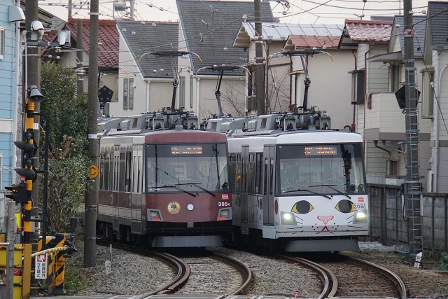 東急 世田谷線 110周年記念ラッピング勢揃い in 並び6