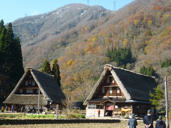 P1180582.JPG