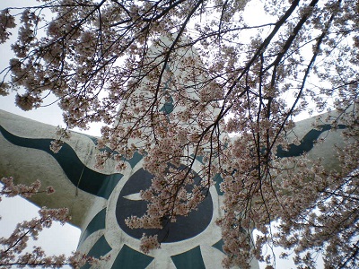 IMGP1719.jpg