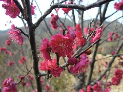 s-20120311 (6).jpg