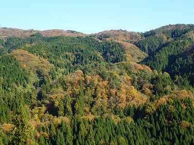 P1060254.jpg