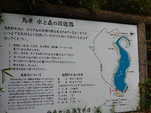 P1130593(1).JPG