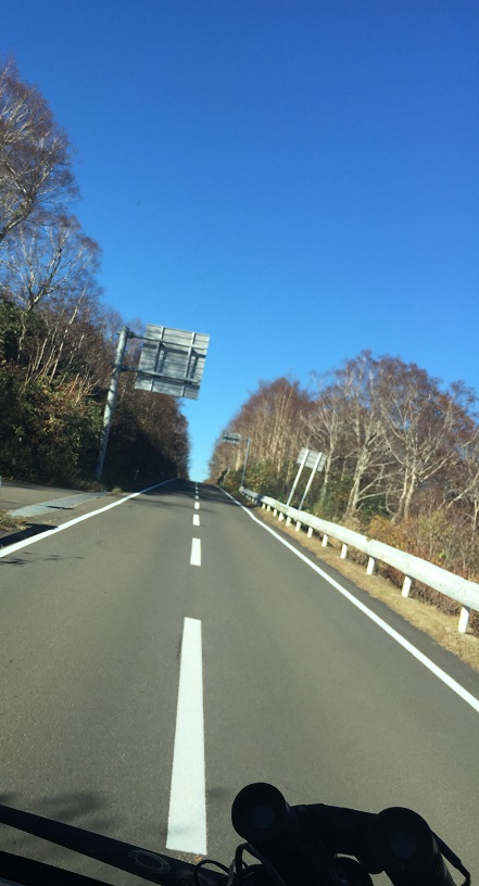 真っ直ぐな道１.jpg