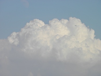 2012.8.263.jpg