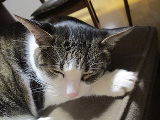 IMG_9465ss.jpg