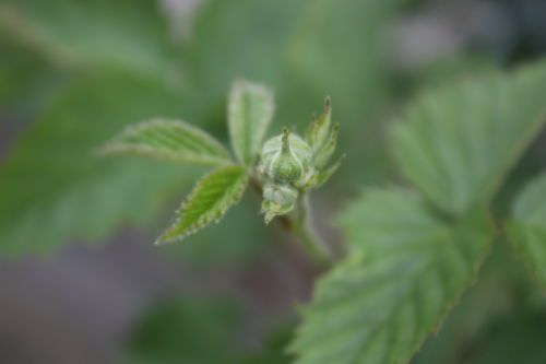2015051602.JPG