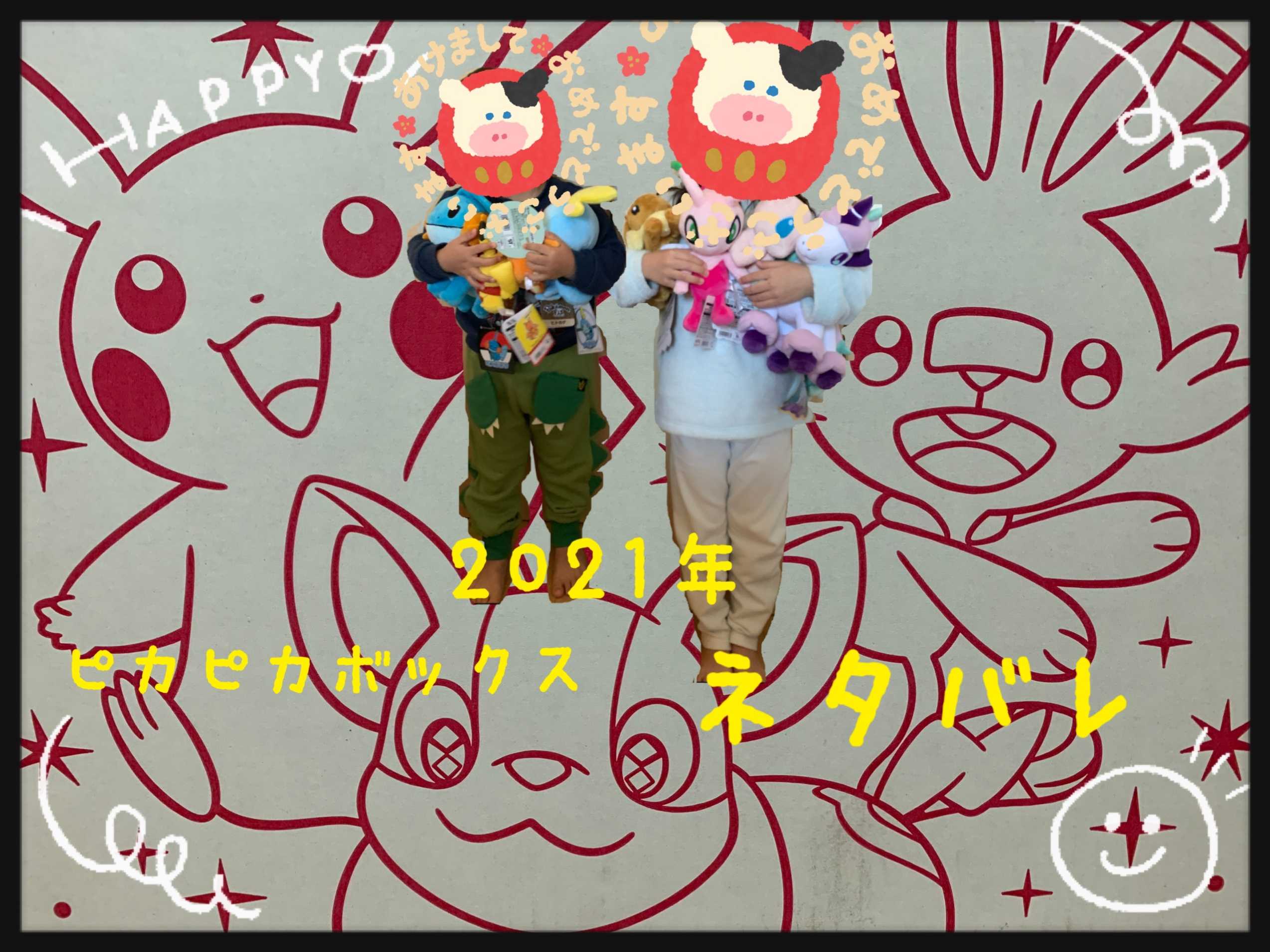 【ネタバレ】ピカピカボックス2021☆ポケモンセンター福袋☆ | ぷーちゃんといっしょ - 楽天ブログ