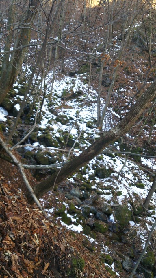 両神山 登山 2月4日 登ってみた。 | 家一軒を解体してみたら いろいろやってみたくなる - 楽天ブログ