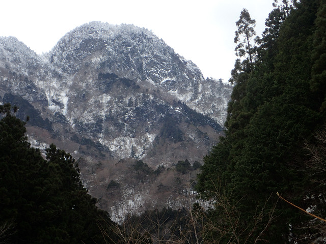 resize0034.jpg