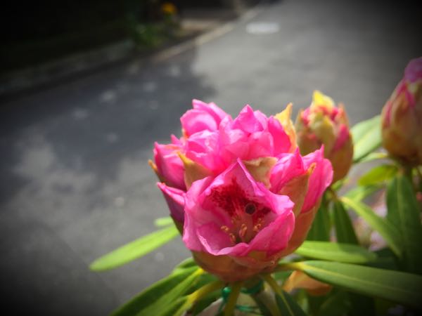 rblog-20150430203756-03.jpg